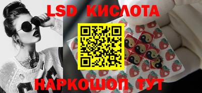 прущие грибы Ирбит