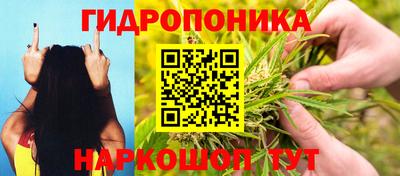 спиды Жуковский