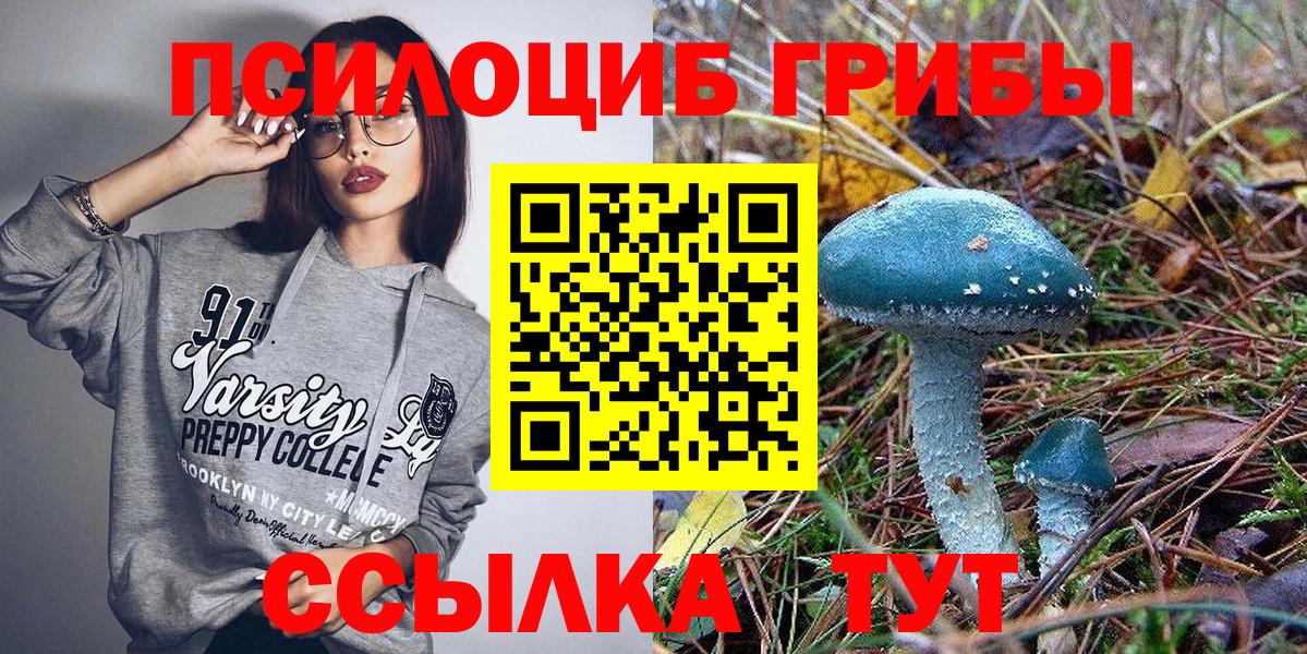 Добрянка  Псилоцибиновые грибы Psilocybine cubensis  Вход с VPN 